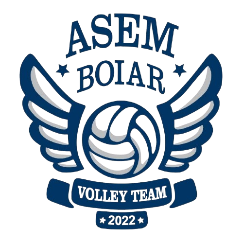 ASEM Boiar